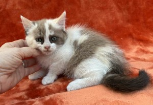 672687324_26620803784198624_2398962015616298036_n