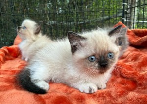 672690274_26594769273468742_3147598118813338694_n