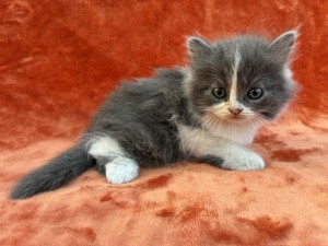 673147127_26620780497534286_2652399850047404563_n