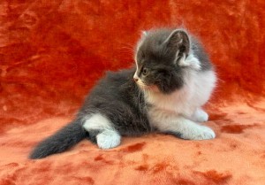 673384343_26620780744200928_3639088262775417020_n S