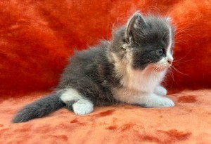 673446911_26620780740867595_984531121037970076_n S