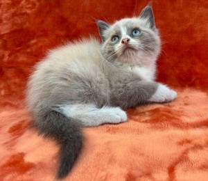 673658121_26620795320866137_7459749914330728492_n S