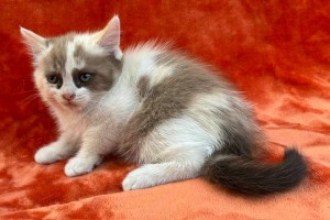 673659989_26620803774198625_4645867203453168969_n