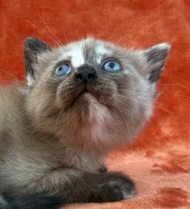 673805525_26620446534234349_5658324412738256124_n