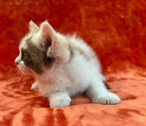 673865606_26620804264198576_3872811277610914828_n