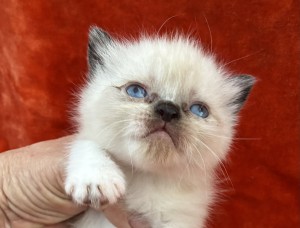 e8101008-fb67-4d1c-94cf-315dcaac3a42